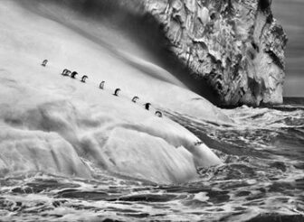 Homenaje a Sebastião Salgado por su reciente fallecimiento