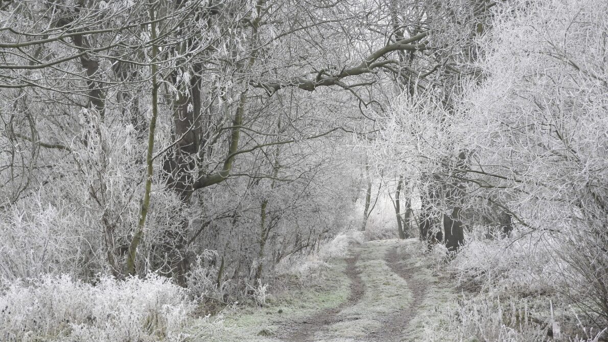 winter-landscape-4772647_1920
