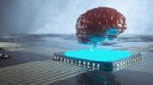 Neuroderechos: 75 Aniversario de la Declaración de Derecho Humanos
