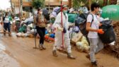 Caminos de esperanza en la catástrofe