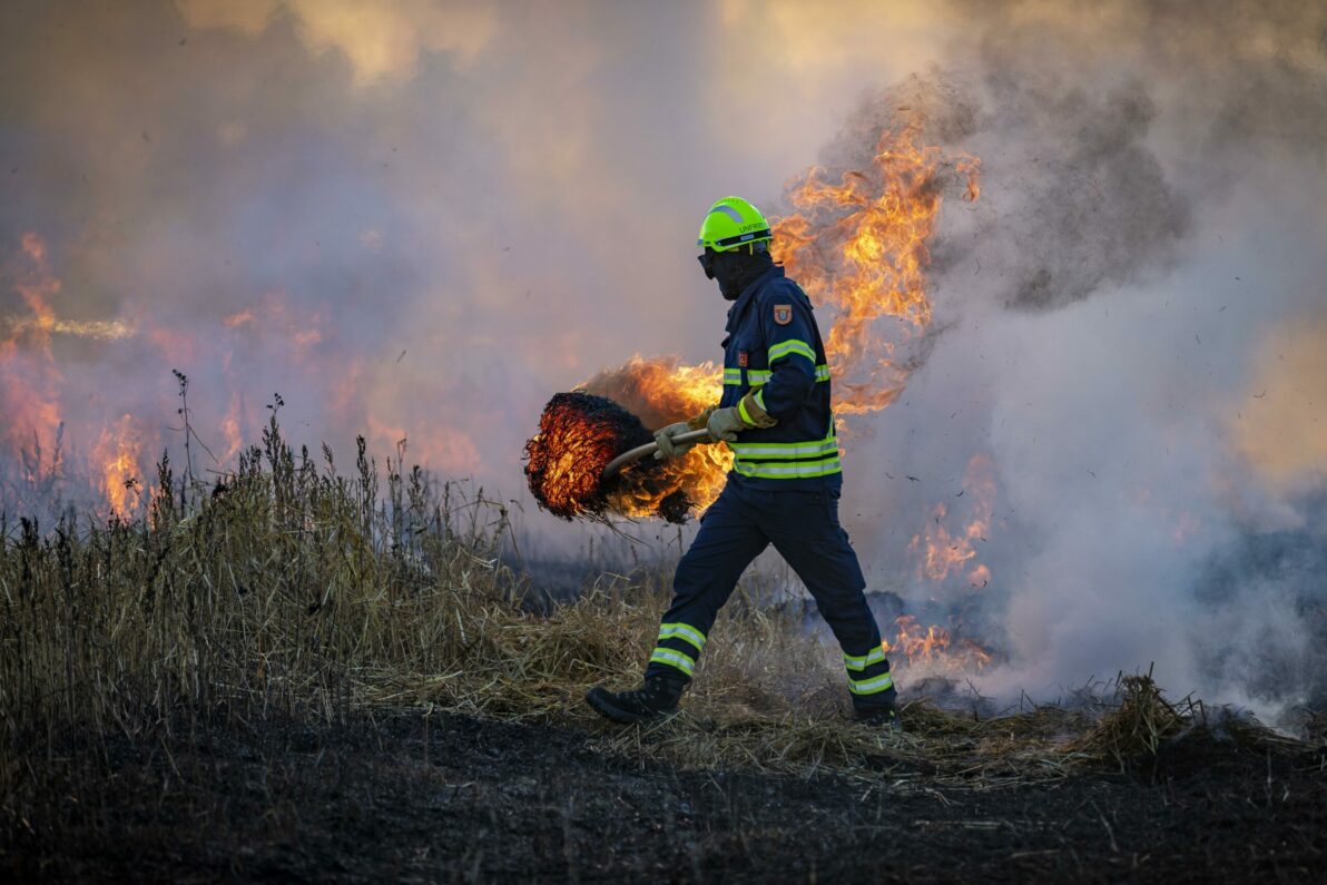 fish96-fire-6706674
